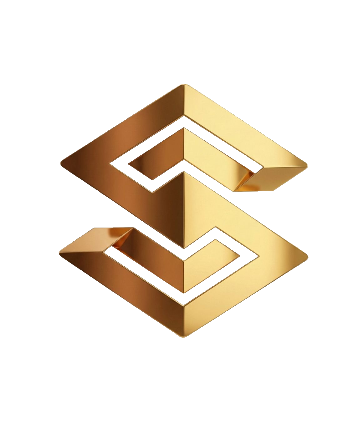sarer grup logo